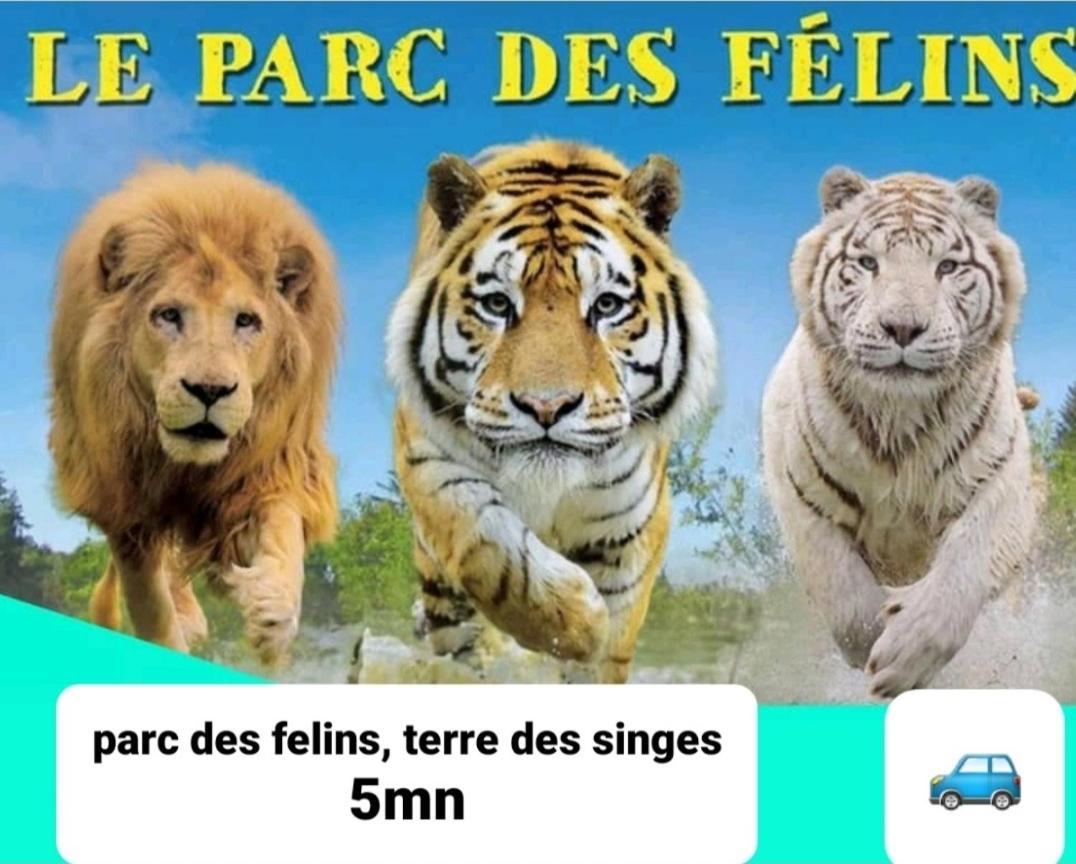 Maison De Village Familiale Et Conviviale. * Pezarches